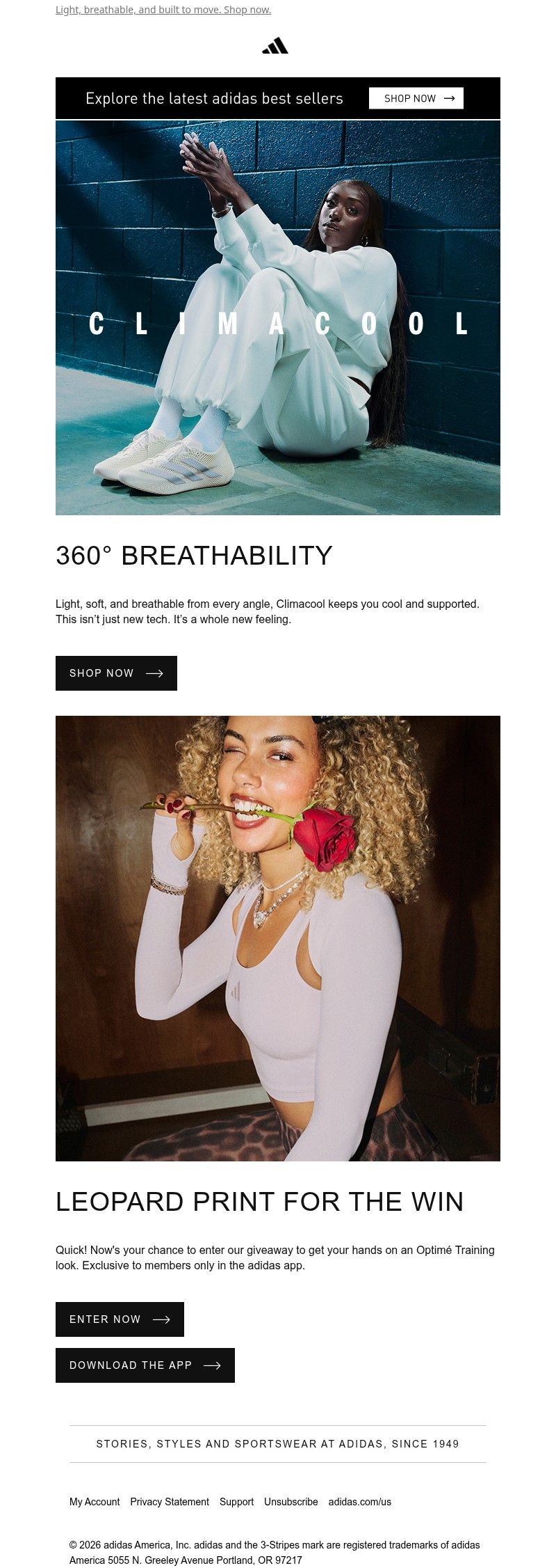 Screenshot of email with subject /media/emails/9483ccad-27fa-452f-a333-d332a0b56a68.jpg