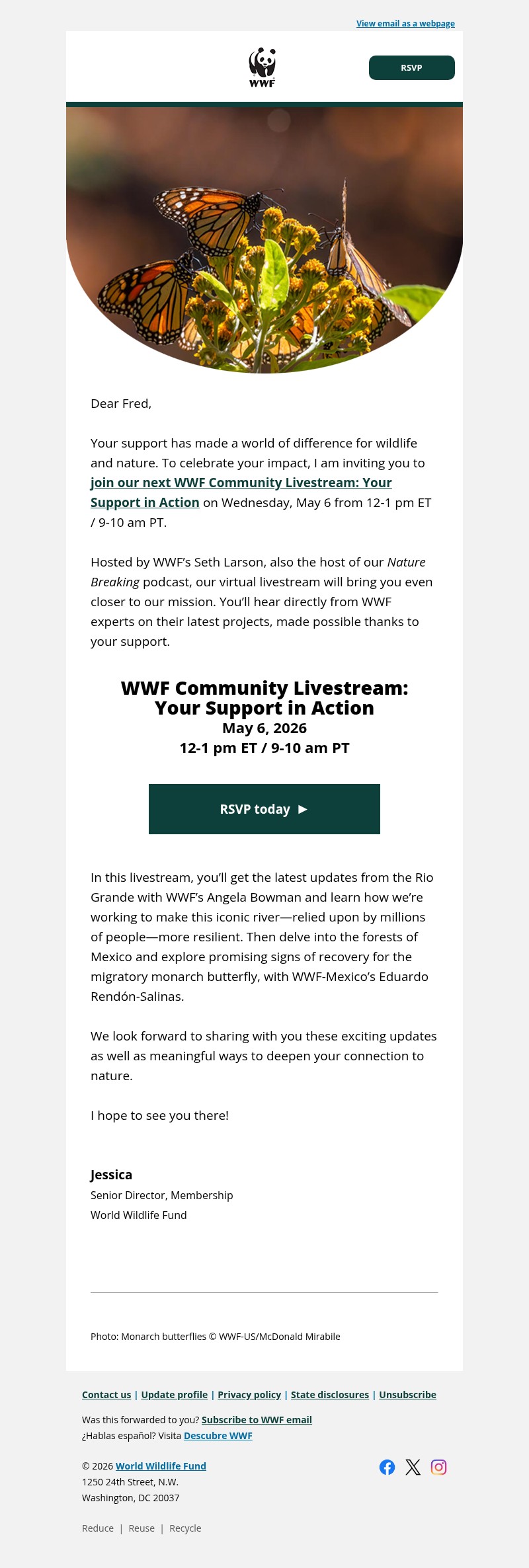 Screenshot of email with subject /media/emails/94bcb099-2a58-4873-98b9-9e41311f4521.jpg