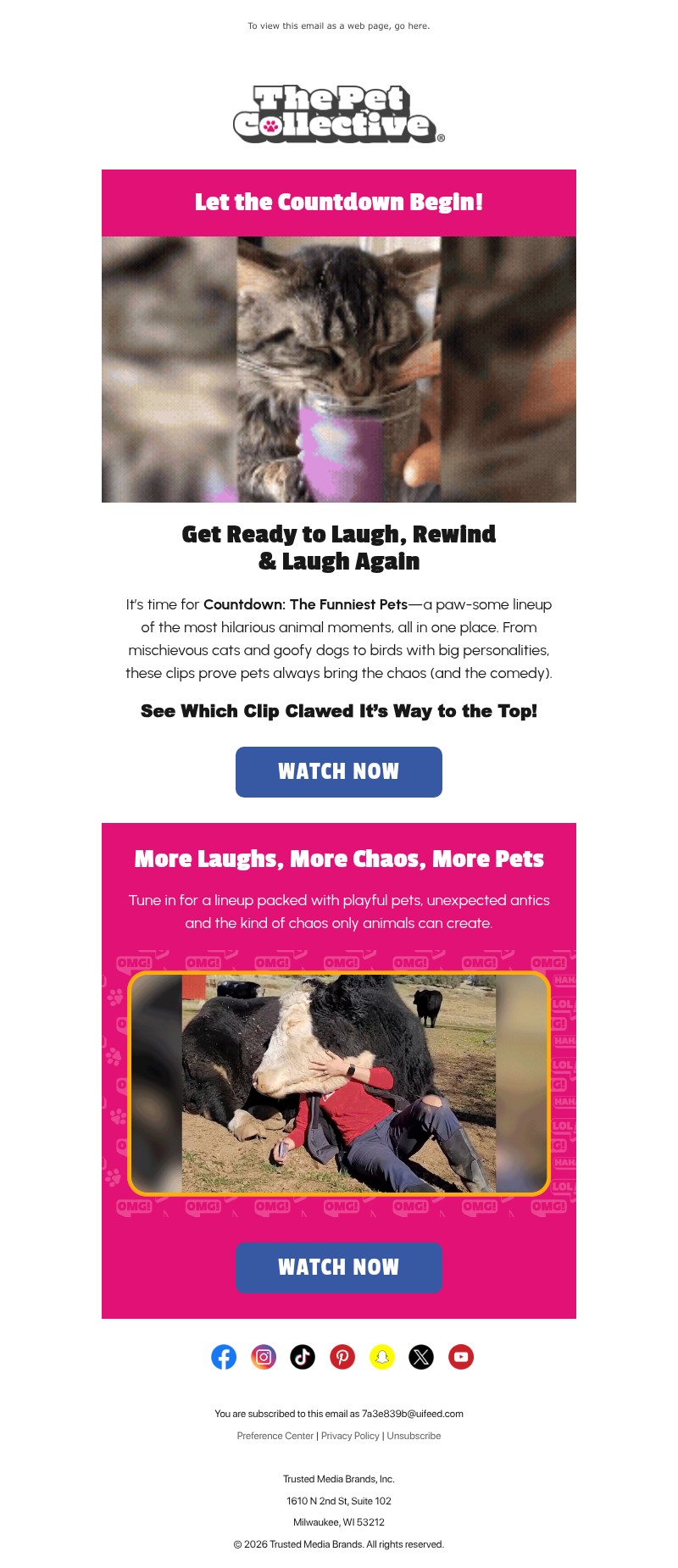 Screenshot of email with subject /media/emails/95674210-cf8a-4ac2-9a77-cd0e6487f885.jpg