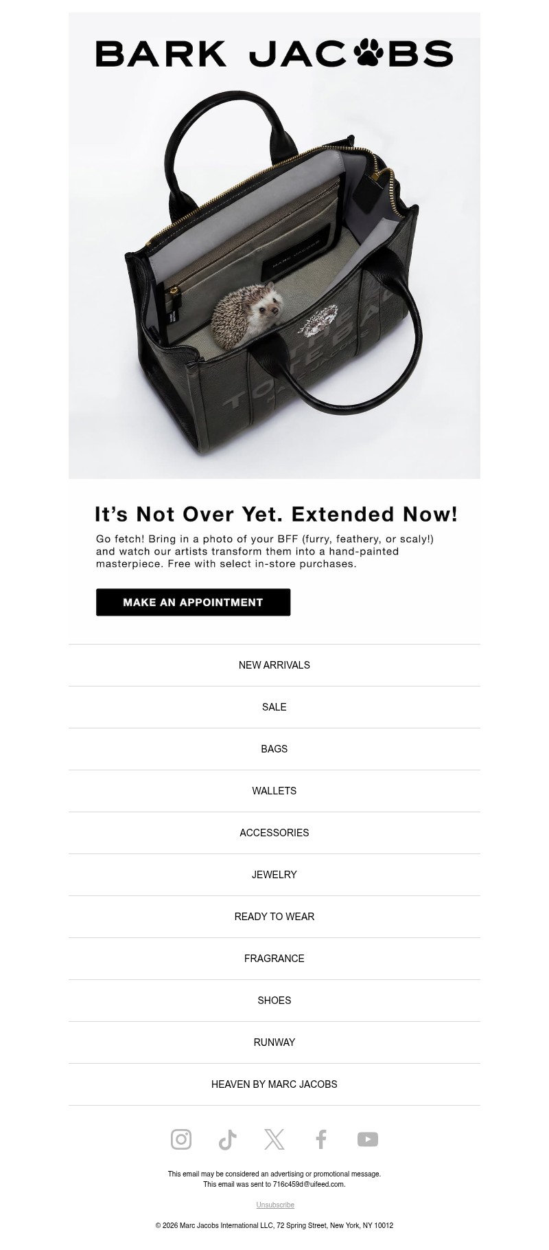 Screenshot of email with subject /media/emails/95ce5bae-24b5-4b8d-8787-b59ba3f1e6a8.jpg