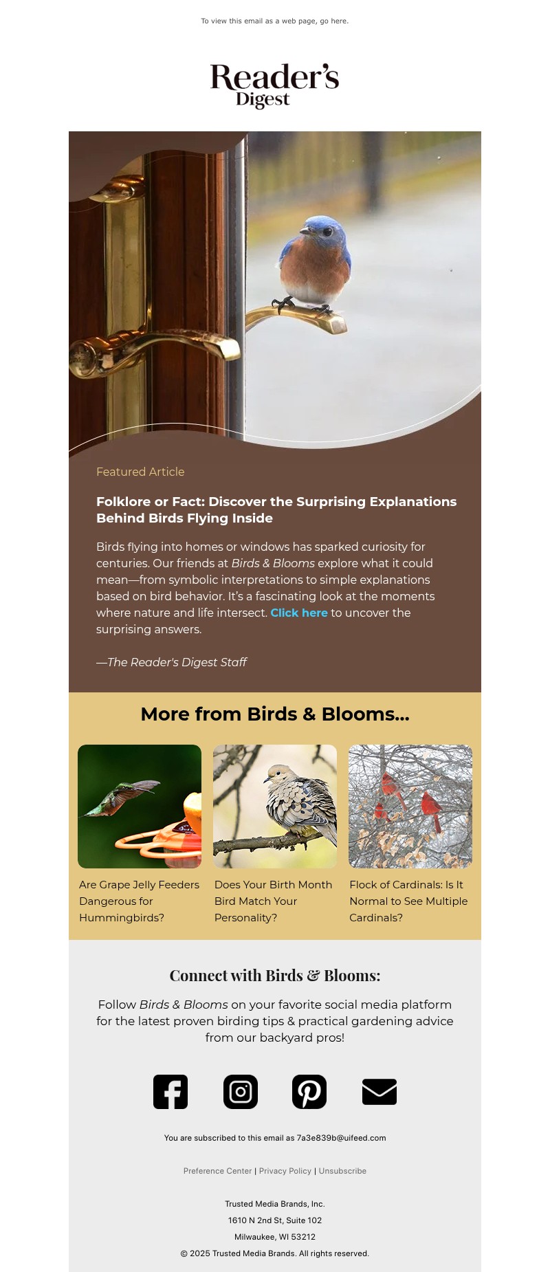 Screenshot of email with subject /media/emails/95fc48d4-398f-472e-92d2-c23ec8f5ddfb.jpg