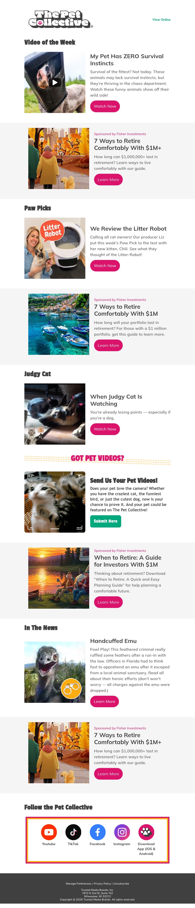 Screenshot of email with subject /media/emails/964cb272-e020-4531-a521-dfc955ca049b.jpg
