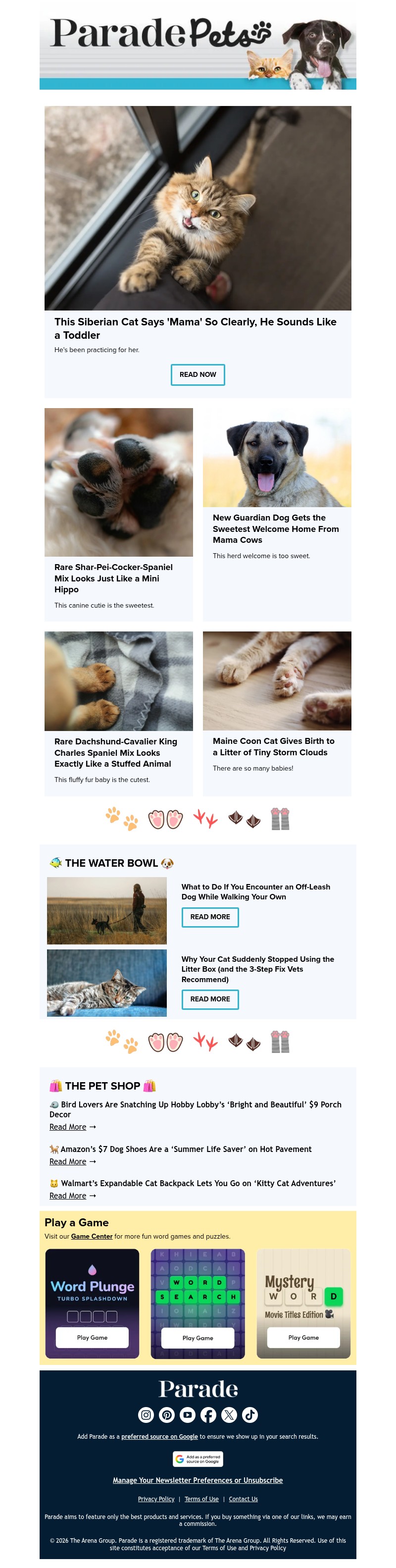 Screenshot of email with subject /media/emails/96581549-7a12-4a56-ab93-277944cdd0da.jpg
