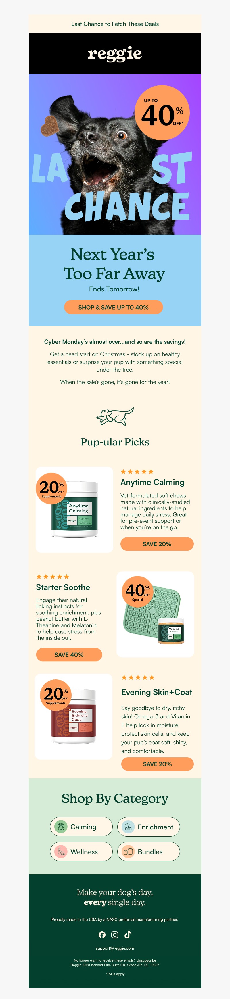 Screenshot of email with subject /media/emails/9689ae67-0389-44e9-a37f-83d05cffe683.jpg