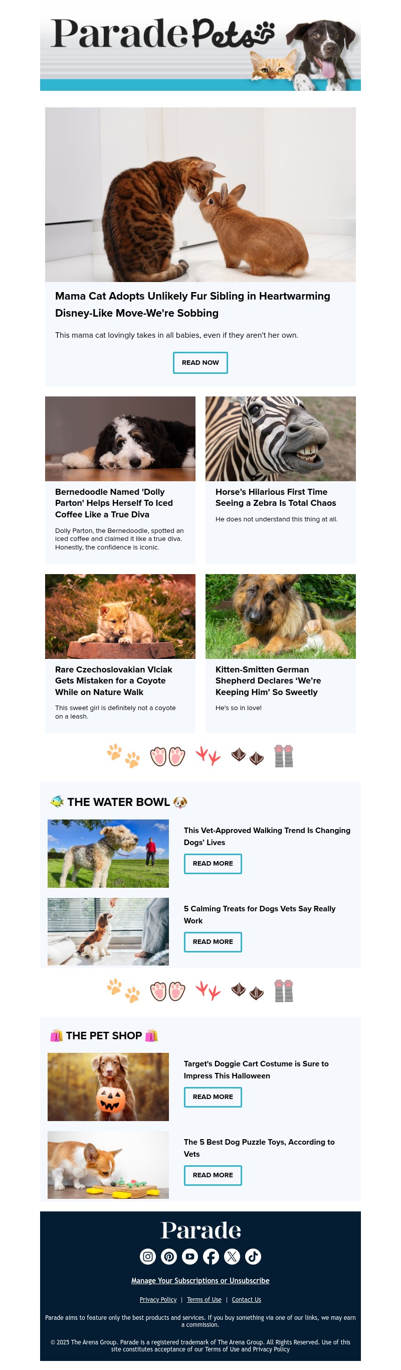 Screenshot of email with subject /media/emails/96e40003-1624-459d-86a0-2db9c8db7151.jpg