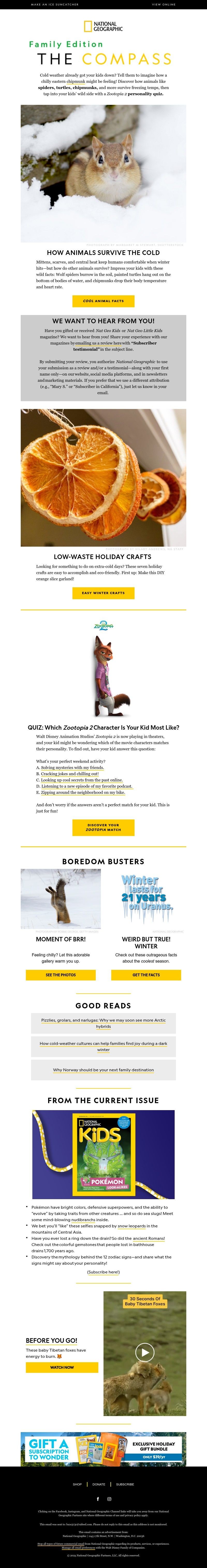 Screenshot of email with subject /media/emails/9736fb4c-3317-4f83-b753-7e2cf27555c8.jpg