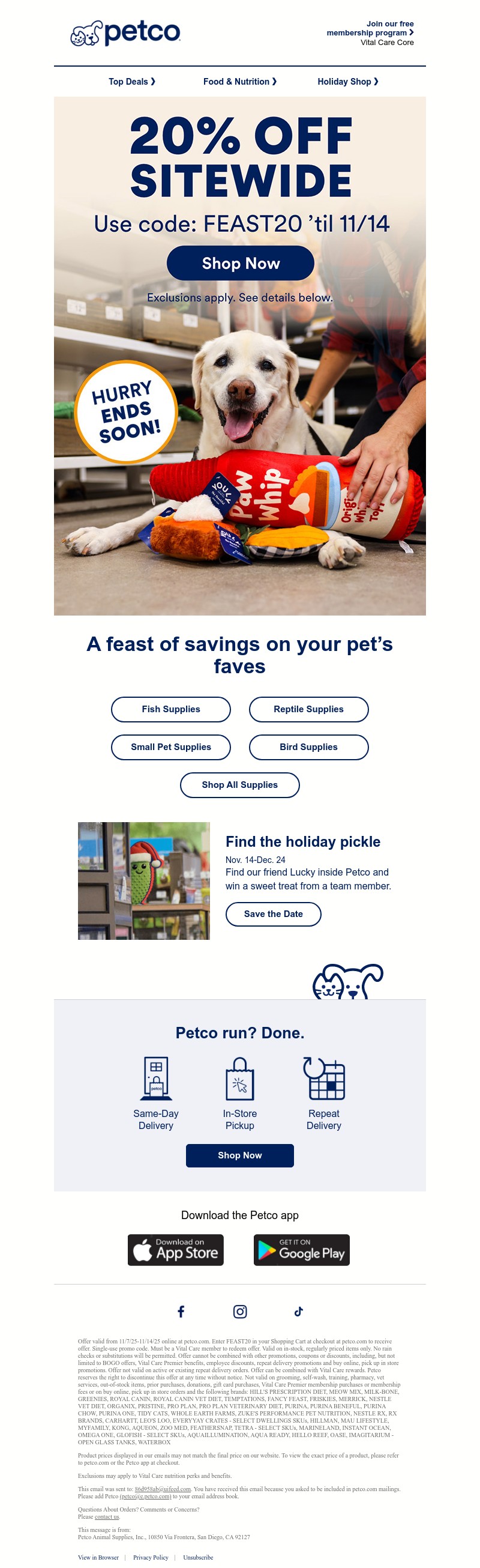 Screenshot of email with subject /media/emails/9809875c-b2eb-411c-9141-4c287f1f4d38.jpg