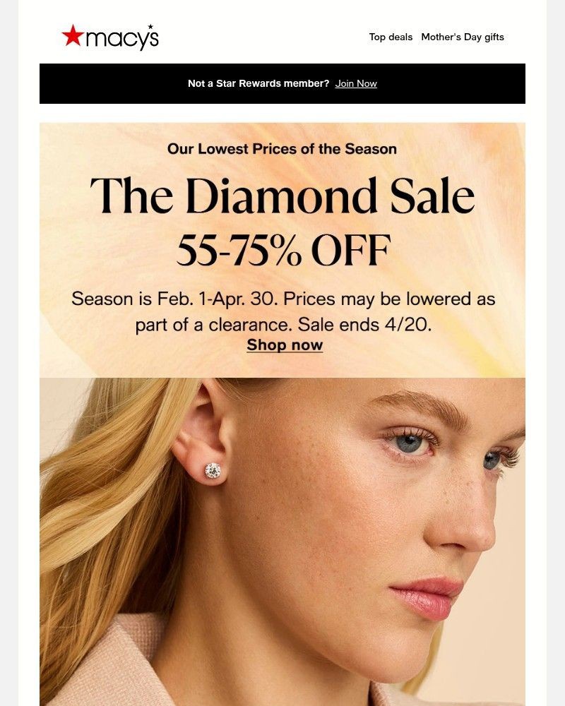 Screenshot of email sent to a Macy's Cart abandoner