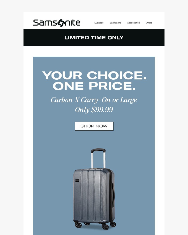 Screenshot of email with subject /media/emails/9999-luggage-flash-sale-carry-on-or-large-b8ad83-cropped-4f5bc5d0.jpg