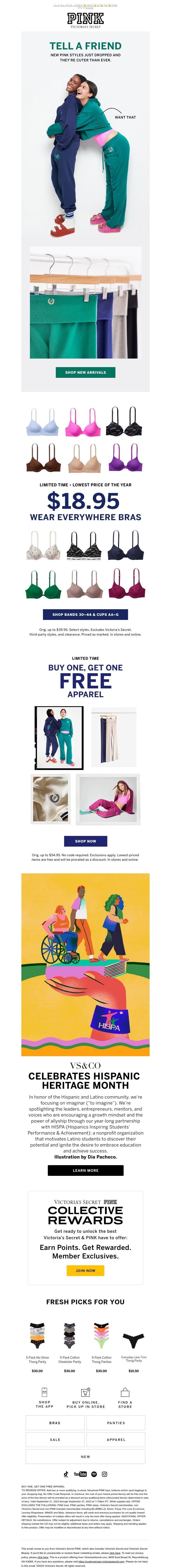 Screenshot of email with subject /media/emails/99d3ec46-1f4a-44ef-9514-1f8084a0e511.jpg