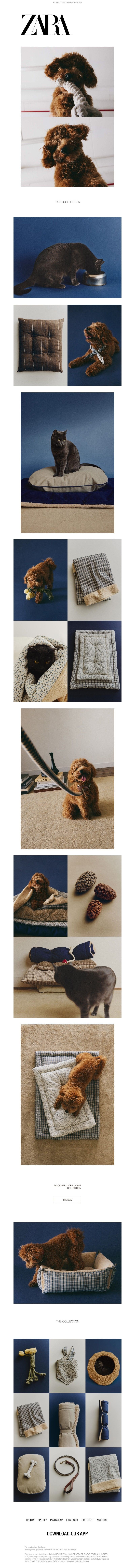 Screenshot of email with subject /media/emails/9a156010-4220-4f8f-882c-bf28ca13554d.jpg