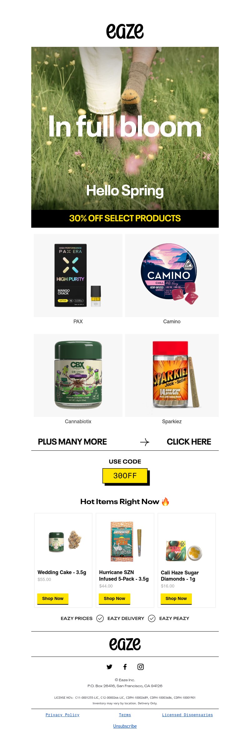 Screenshot of email with subject /media/emails/9a783d6d-2423-48e2-ac9f-91a63d4205f7.jpg