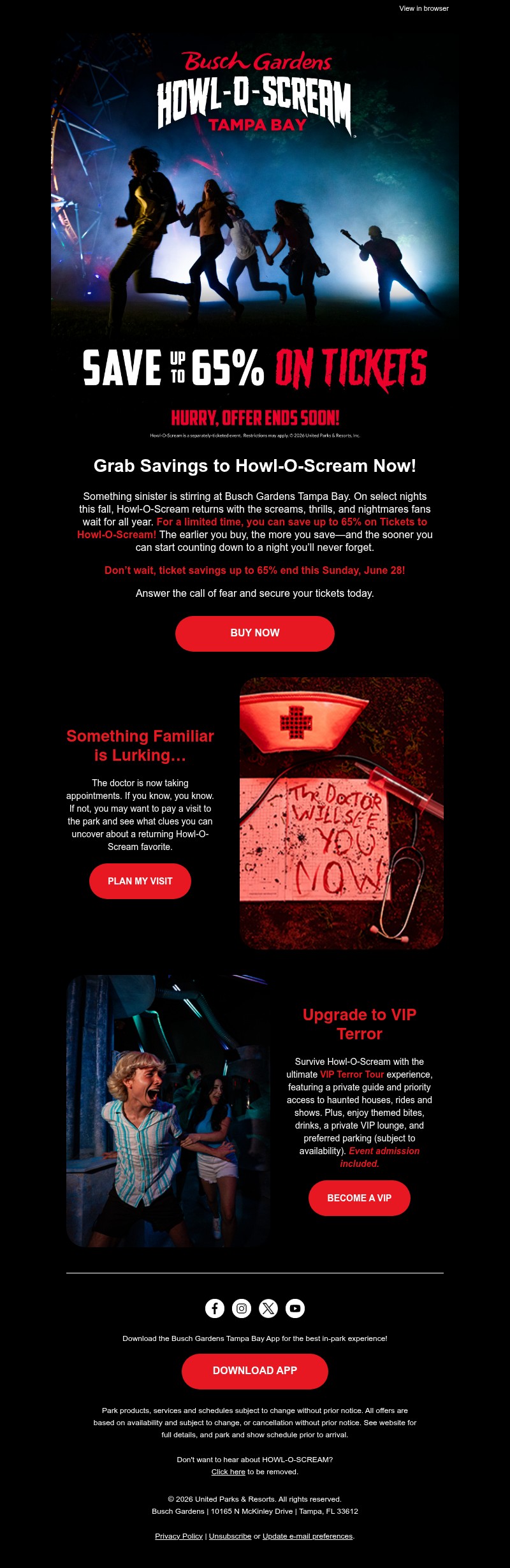 Screenshot of email with subject /media/emails/9ad632a1-ad4d-48e6-b9c4-4f0fb49d9324.jpg