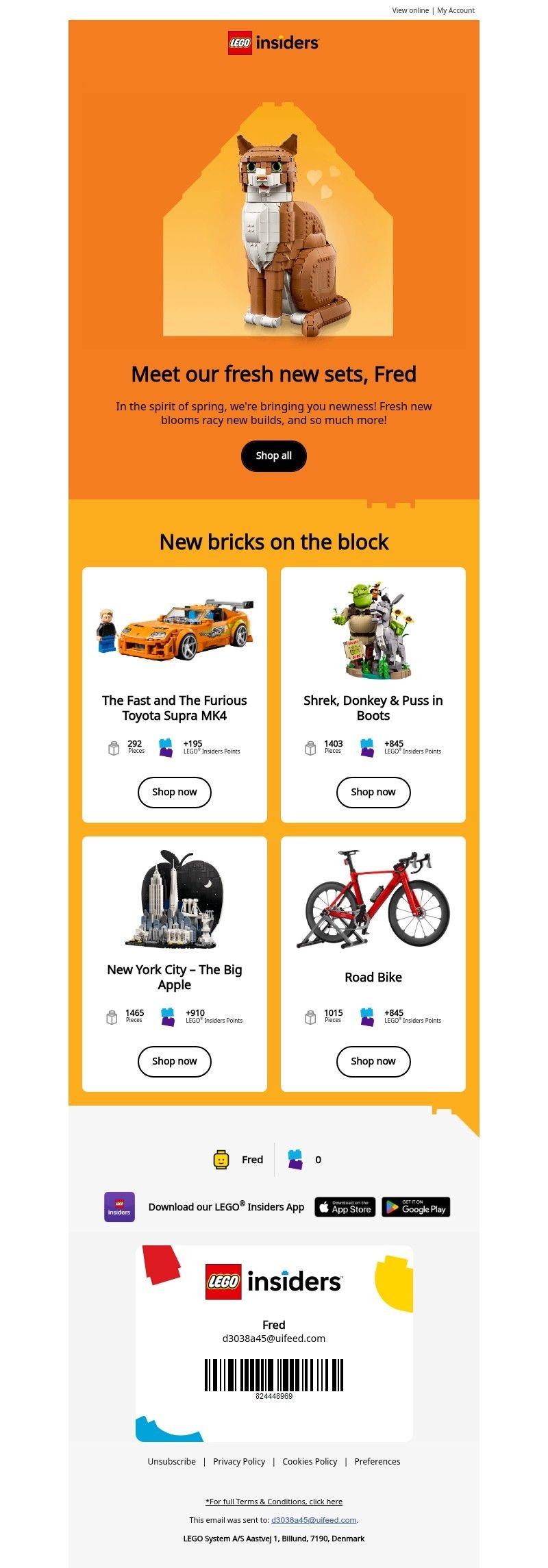 Screenshot of email with subject /media/emails/9af5c4fa-3b6f-4273-b76c-70abddbdb108.jpg
