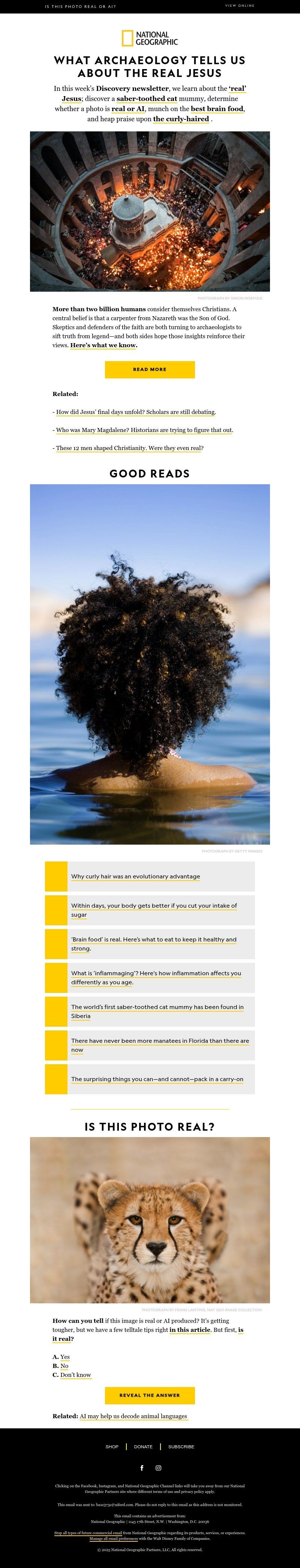 Screenshot of email with subject /media/emails/9b1d33e0-e8c3-4adc-afbb-da58fb421016.jpg