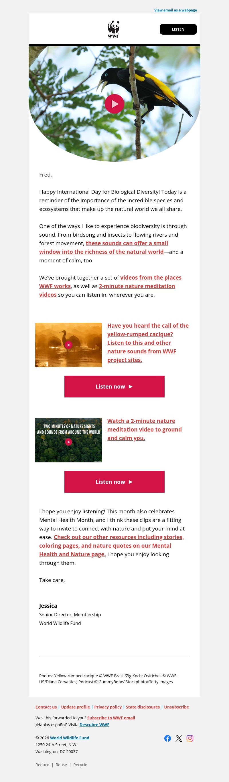Screenshot of email with subject /media/emails/9b40bb8c-f179-47c5-b12d-367ced5c17dd.jpg