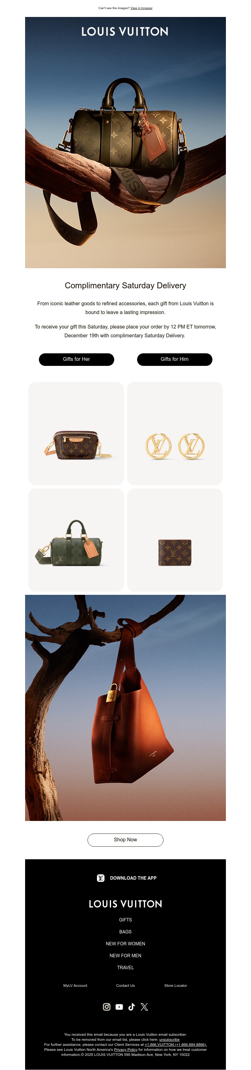 Screenshot of email with subject /media/emails/9ba58cc2-8c28-4ca4-a564-356f78cc2c33.jpg