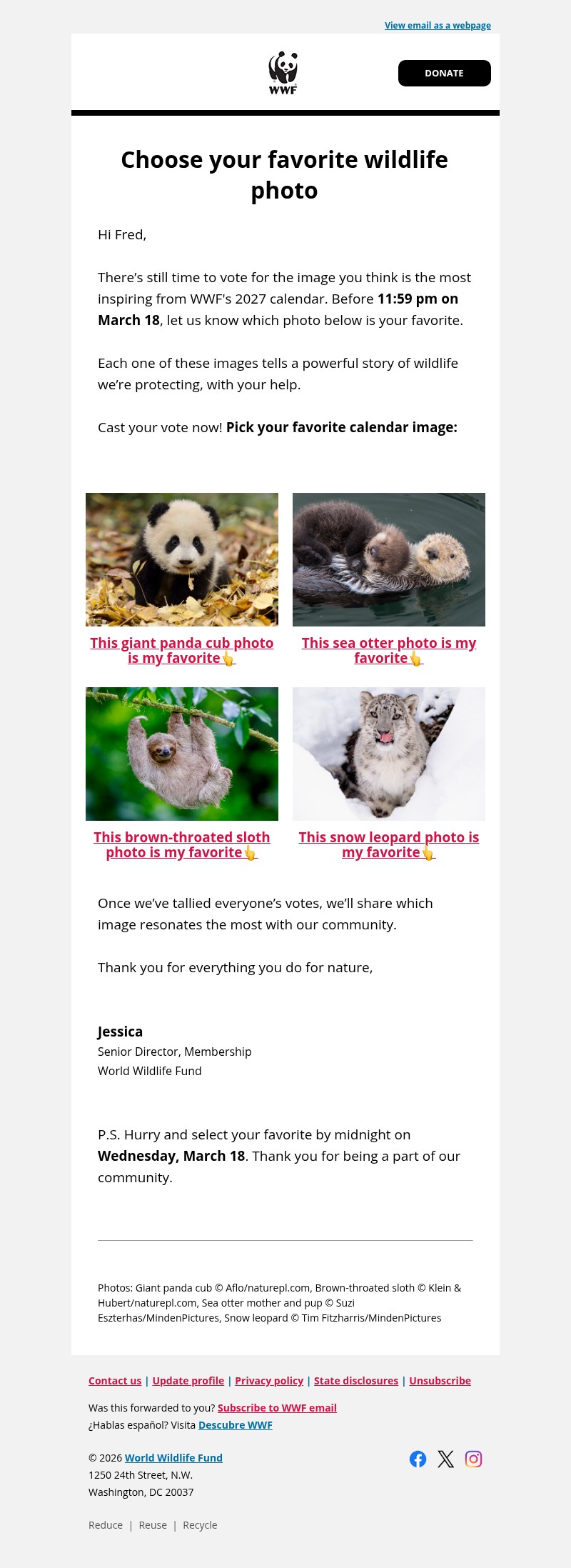 Screenshot of email with subject /media/emails/9bf054c6-9236-4b4d-a23e-01f043baa941.jpg