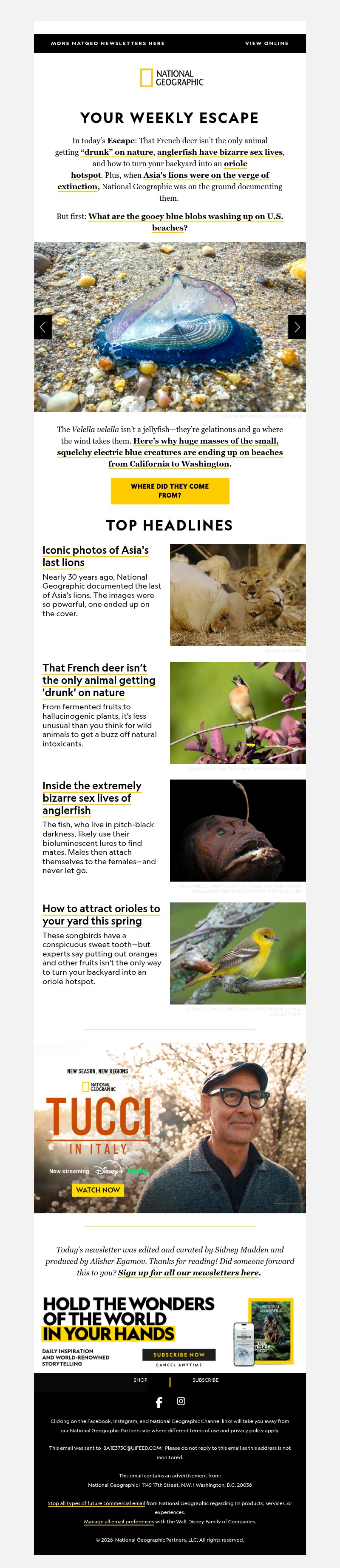 Screenshot of email with subject /media/emails/9c2d379c-ae12-458f-bab6-d3ed4524068f.jpg