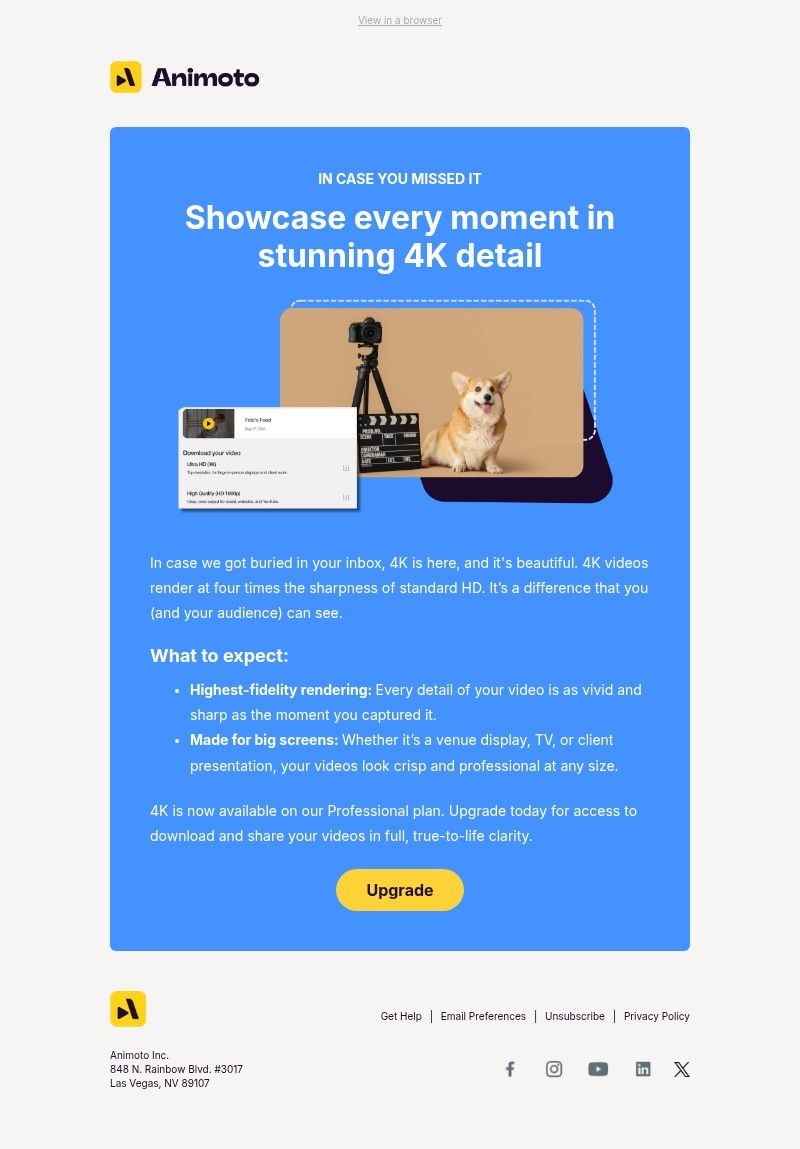 Screenshot of email with subject /media/emails/9c449363-dfb7-4e48-98ee-be4e2b893edd.jpg