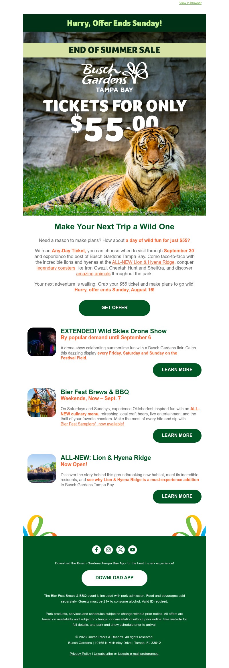 Screenshot of email with subject /media/emails/9d82daad-e519-4d39-8808-9fee95215869.jpg