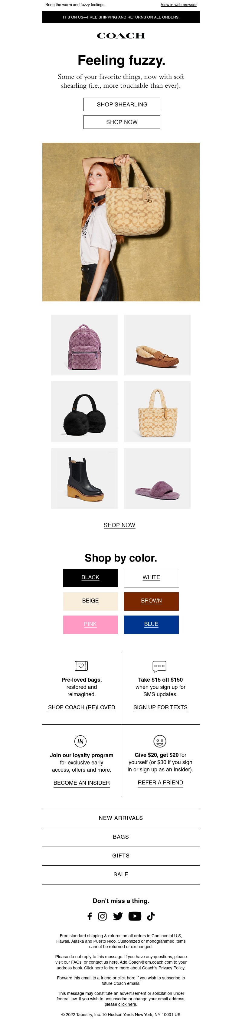 Screenshot of email with subject /media/emails/9d918685-f069-4d6d-ab37-c447f6cf08cf.jpg