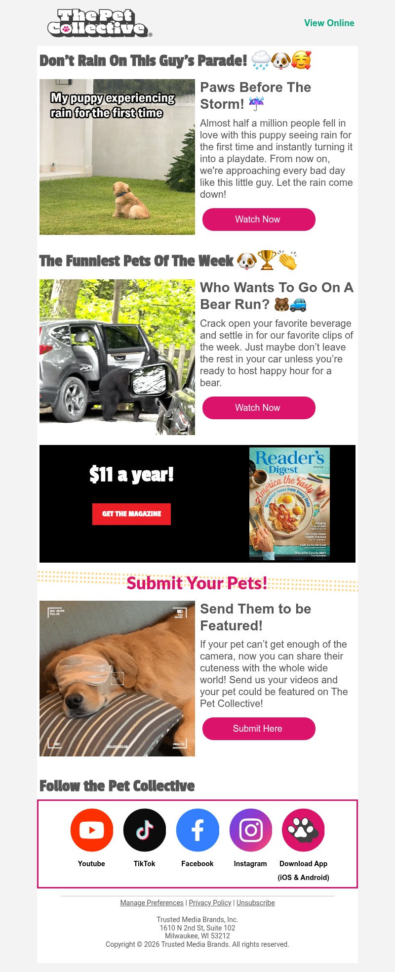 Screenshot of email with subject /media/emails/9e3dbc11-0a98-4736-af4d-558ed7fb6687.jpg