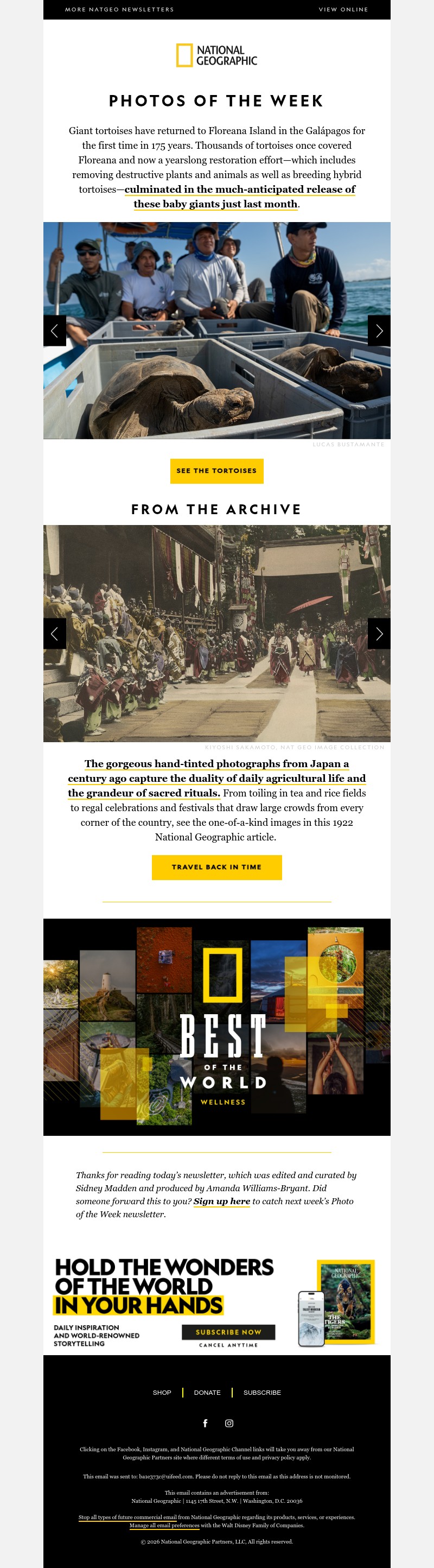 Screenshot of email with subject /media/emails/9e6e3d0e-0106-4edc-8460-03108d1493d5.jpg