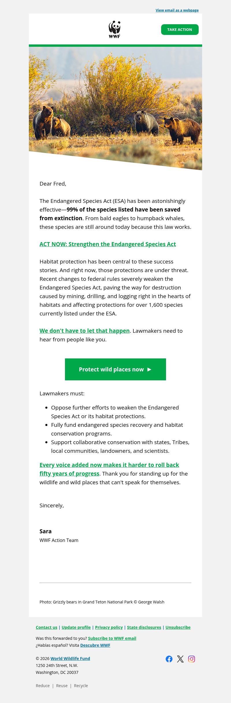 Screenshot of email with subject /media/emails/9e7793ac-cce5-4116-8a6a-ad6dad2bcf8e.jpg