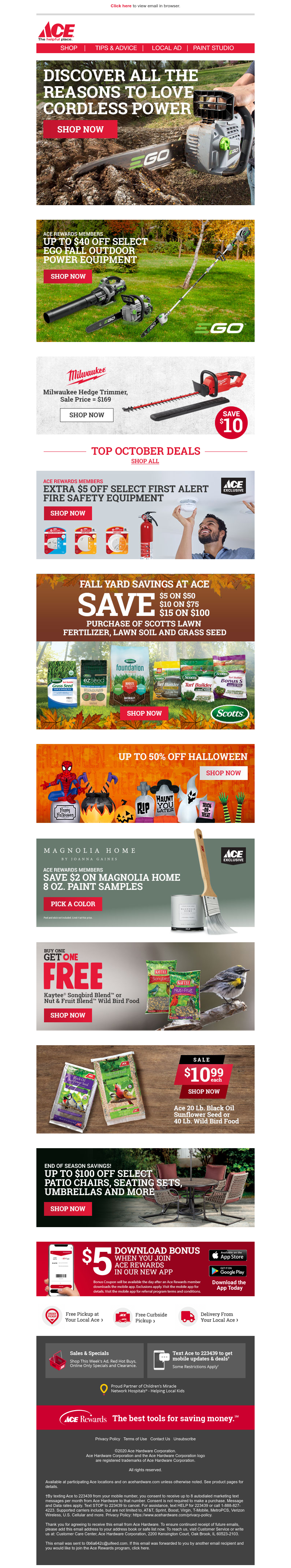 Screenshot of email with subject /media/emails/9e897f50-9ec2-43dd-9323-b67757401794.png