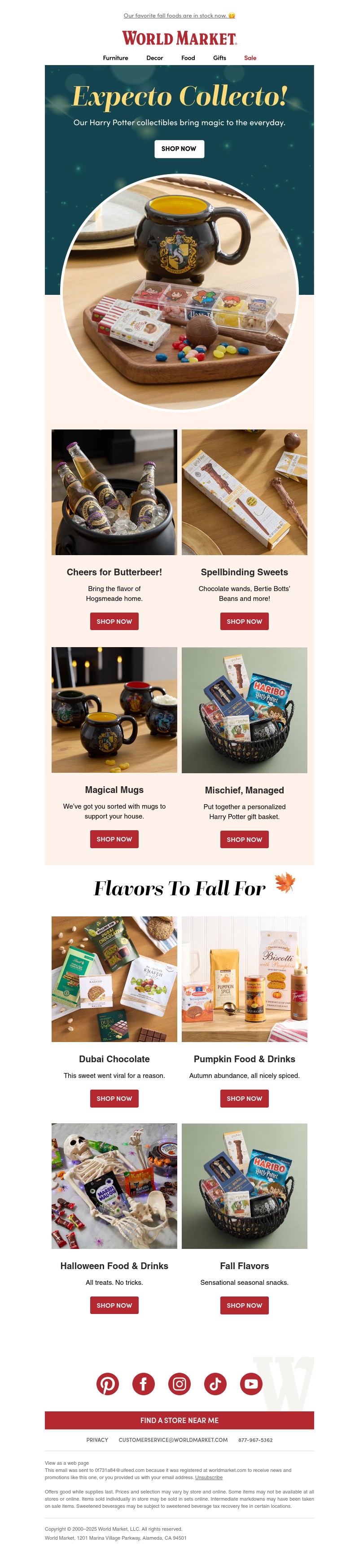 Screenshot of email with subject /media/emails/9e9f44ce-36de-40e9-9ac0-54a1941d5992.jpg