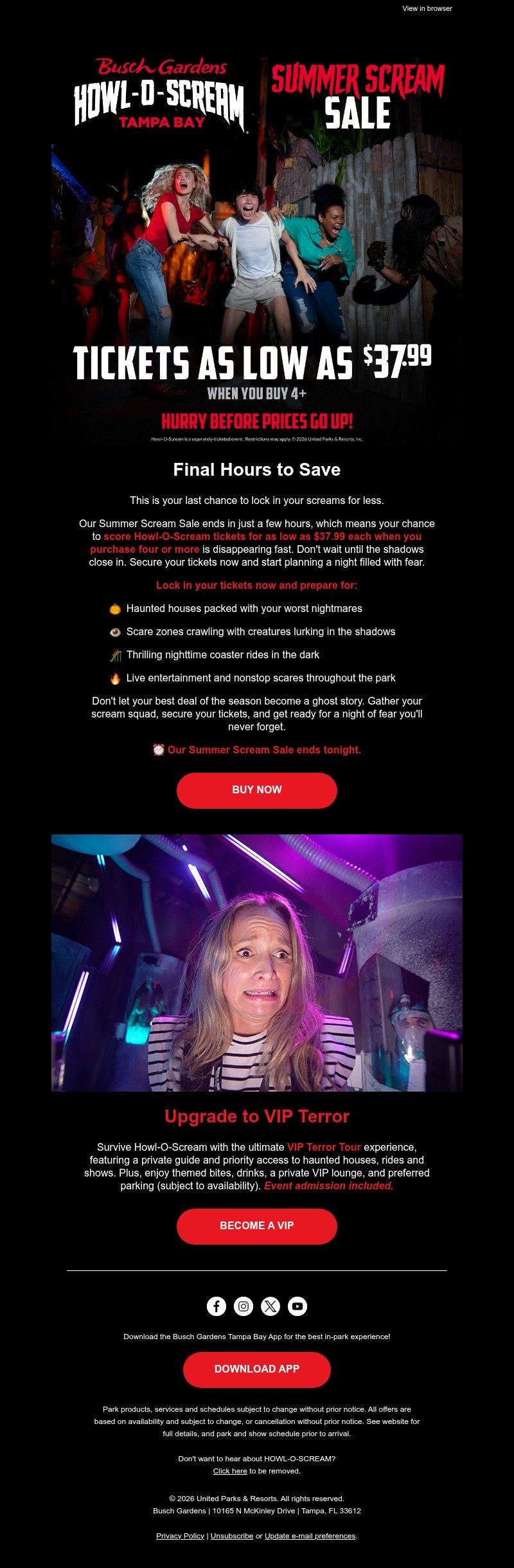 Screenshot of email with subject /media/emails/9f5f01b0-b4cd-4e85-aafe-df1568500503.jpg