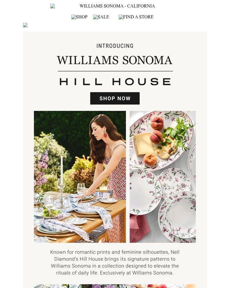 Screenshot of email with subject /media/emails/a-beautiful-new-collaboration-has-arrived-hill-house-x-williams-sonoma-968f3e-cro_VGZHB3H.jpg