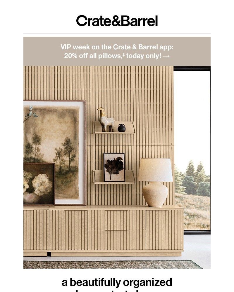 Screenshot of email with subject /media/emails/a-beautifully-organized-home-is-possible-8b3cce-cropped-0509a701.jpg