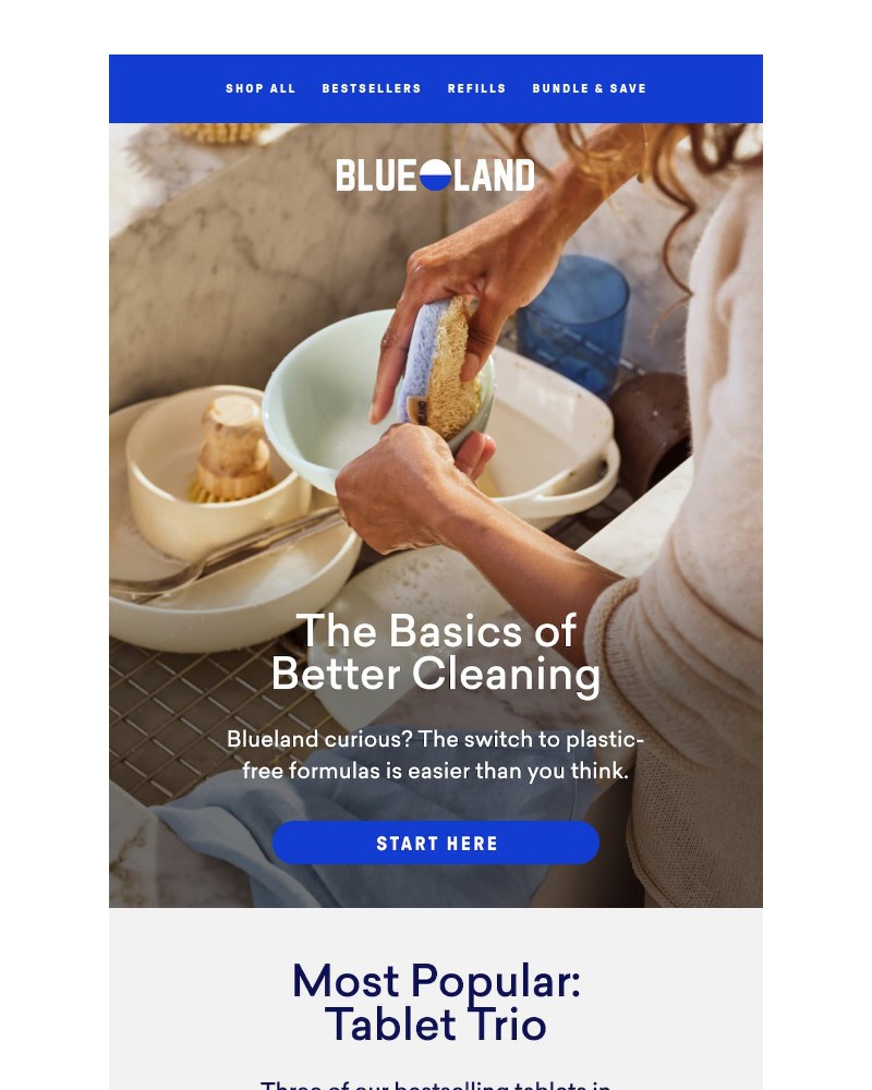 Screenshot of email sent to a Blueland Newsletter subscriber