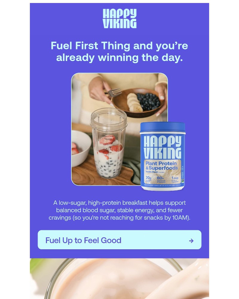 Screenshot of email sent to a Happy Viking Newsletter subscriber