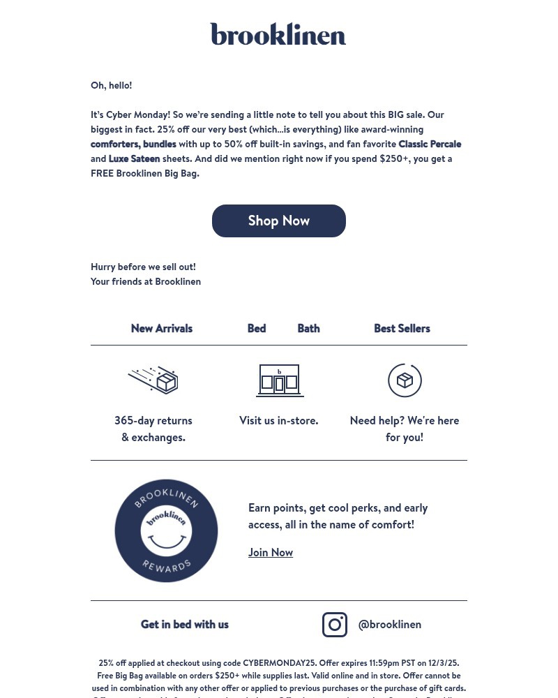 Screenshot of email with subject /media/emails/a-big-sale-just-for-you-406b00-cropped-17f66ede.jpg