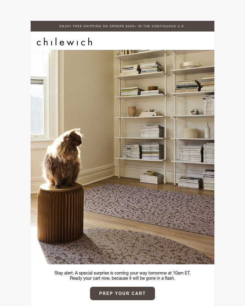 Screenshot of email with subject /media/emails/a-big-surprise-is-coming-your-way-8997fd-cropped-203740cc.jpg