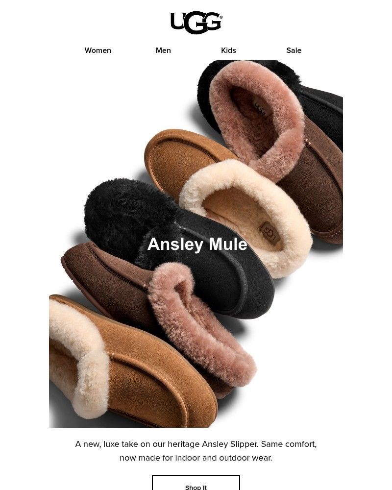 Screenshot of email with subject /media/emails/a-brand-new-slipper-is-here-5b7025-cropped-5f6d905a.jpg