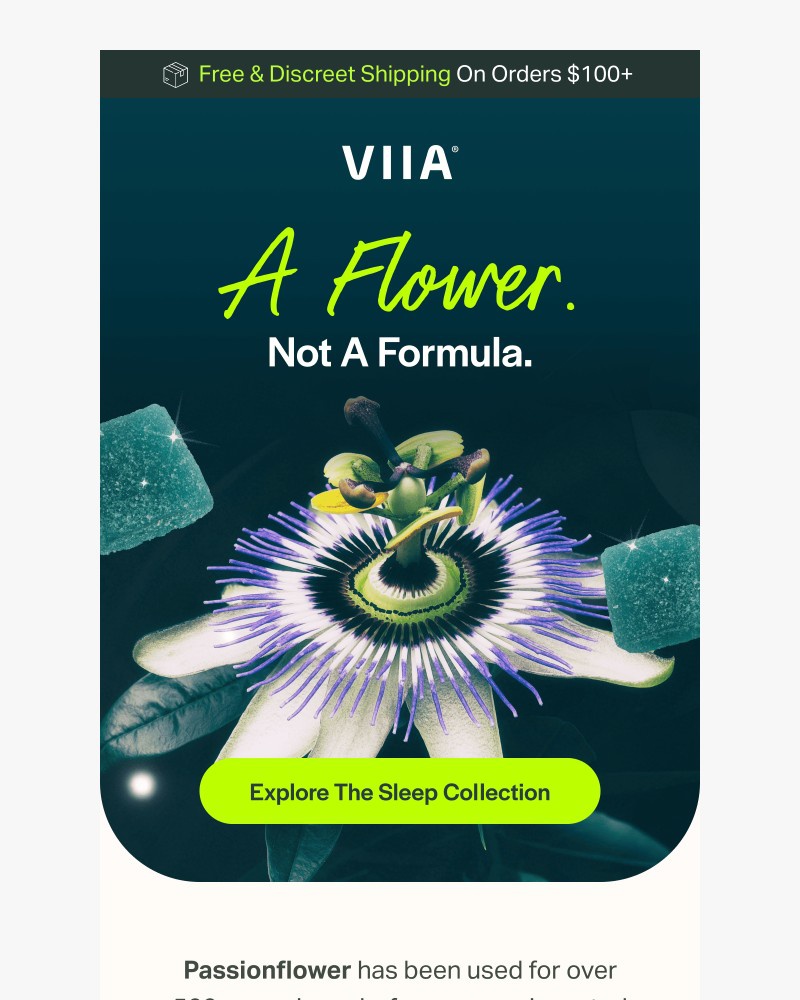 Screenshot of email sent to a VIIA Newsletter subscriber