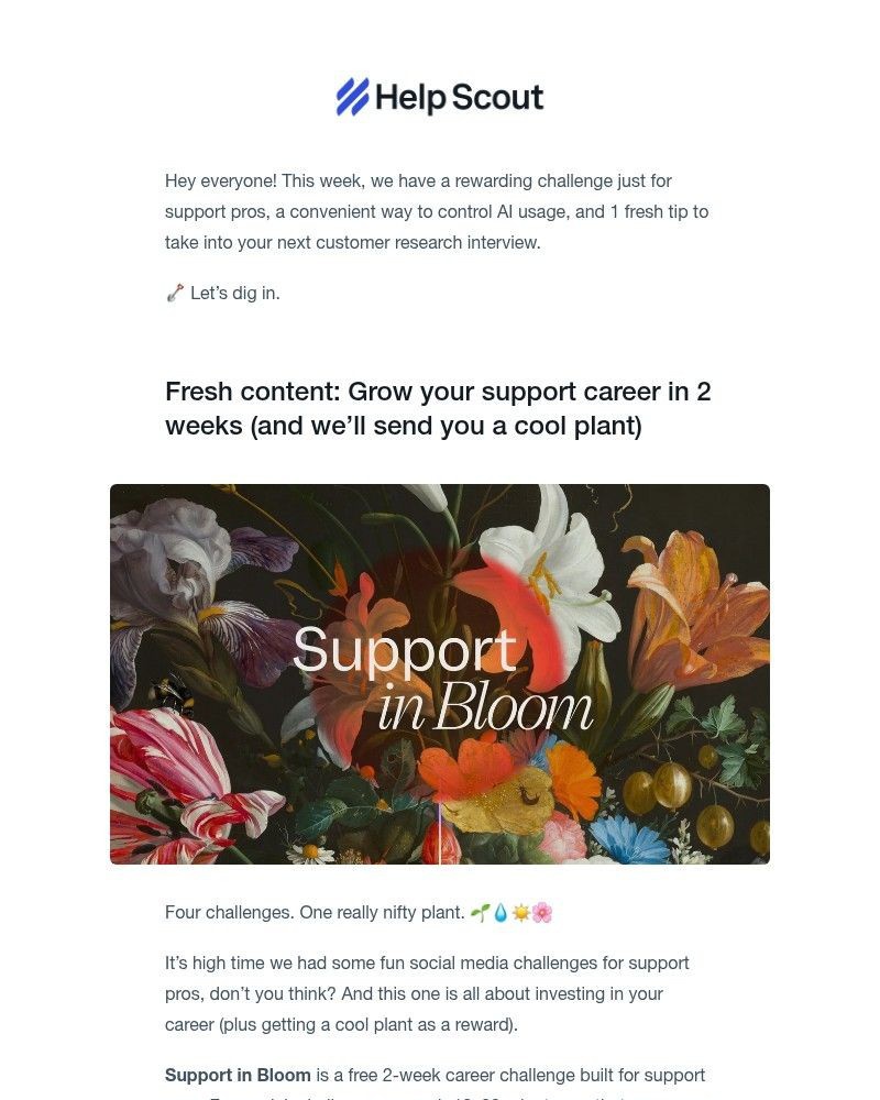 Screenshot of email with subject /media/emails/a-challenge-for-support-pros-only-e832c9-cropped-4c2a9ce0.jpg