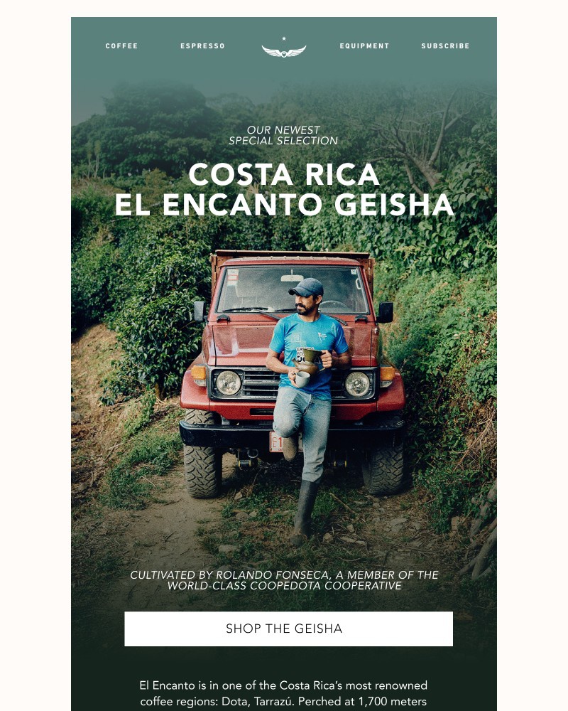 Screenshot of email with subject /media/emails/a-charming-geisha-from-costa-rica-b4d1fe-cropped-25c660a6.jpg