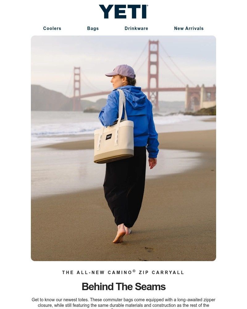 Screenshot of email with subject /media/emails/a-closer-look-at-the-camino-zip-carryall-93ac0c-cropped-e7432829.jpg