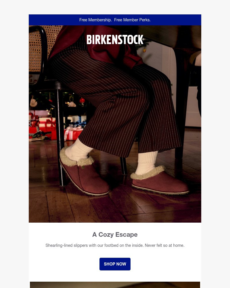 Screenshot of email with subject /media/emails/a-cozier-slipper-authentic-shearling-our-footbed-a3a023-cropped-df9c3125.jpg