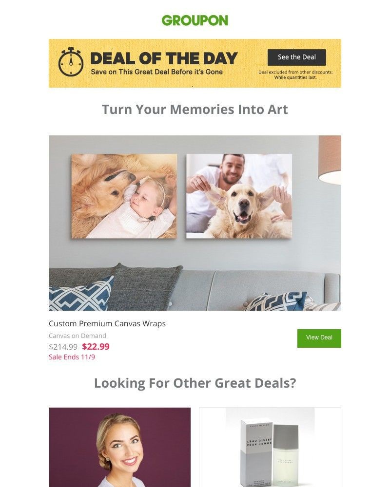 Screenshot of email with subject /media/emails/a-deal-of-the-day-so-good-youll-hang-it-on-the-wall-dd4bfc-cropped-efe5538e.jpg