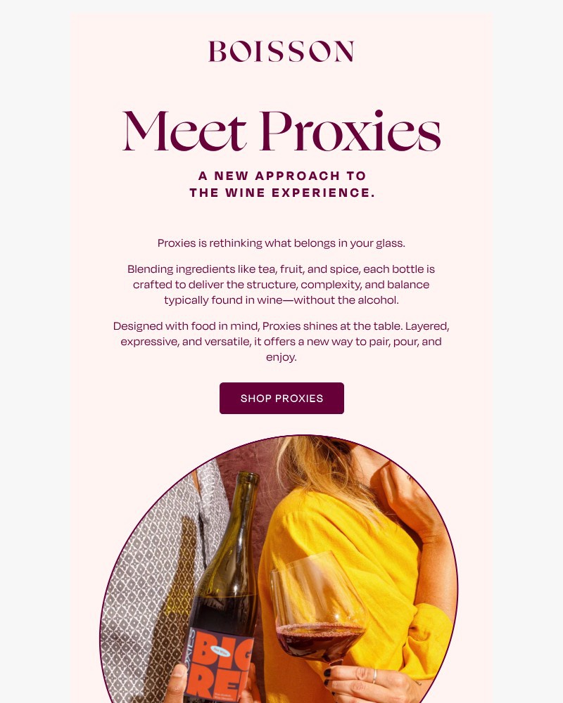 Screenshot of email sent to a Boisson Newsletter subscriber