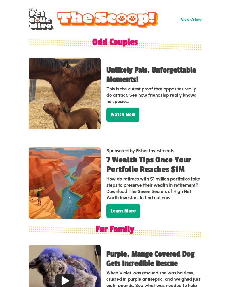 Screenshot of email with subject /media/emails/a-dog-was-found-covered-in-purple-for-the-saddest-reason-0bcdbb-cropped-dbe94d22.jpg