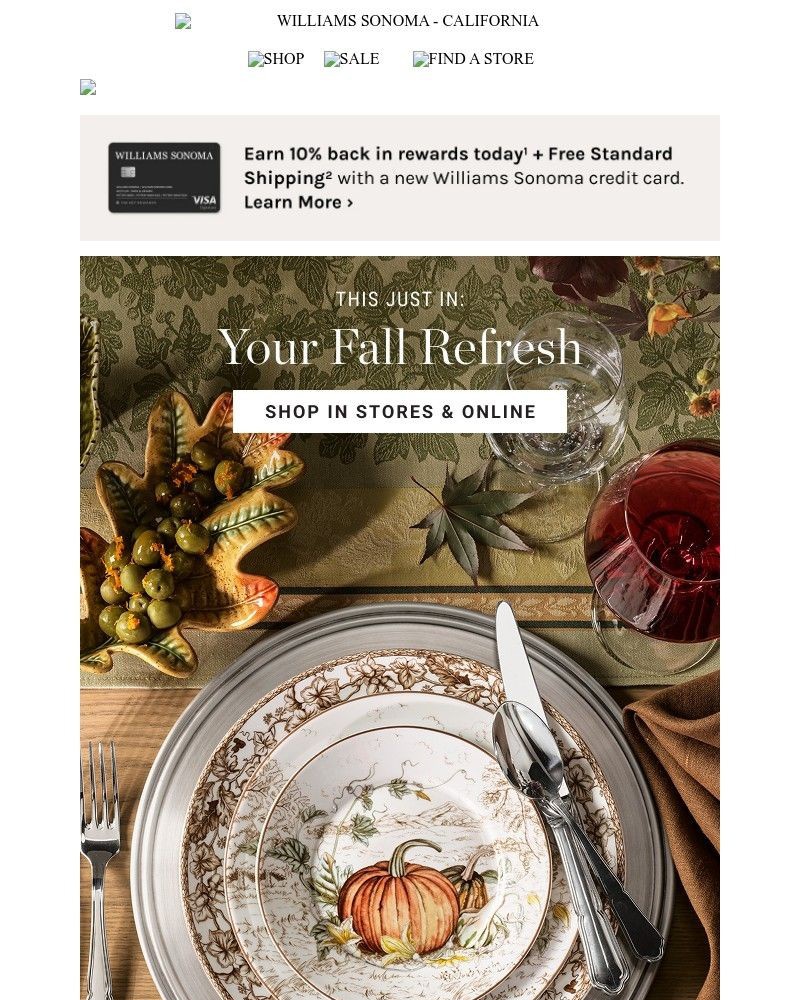 Screenshot of email with subject /media/emails/a-festive-preview-get-set-for-thanksgiving-3d0a92-cropped-48518852.jpg