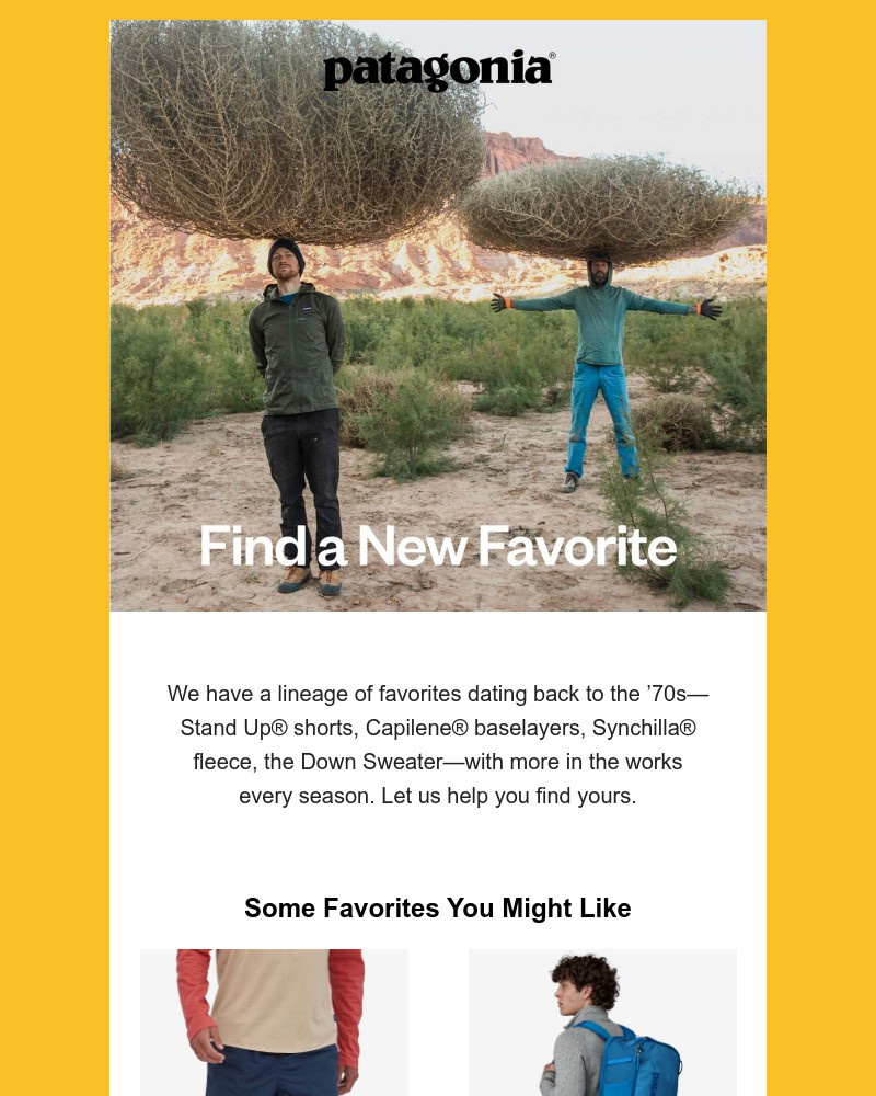 Screenshot of email with subject /media/emails/a-few-favorites-you-might-like-8a968c-cropped-eee28305.jpg