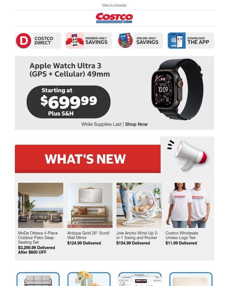 Screenshot of email with subject /media/emails/a-first-look-at-our-latest-arrivals-895de4-cropped-204bc276.jpg